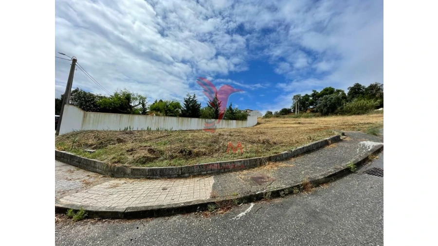 Terreno para Venda em Chamusca e Pinheiro Grande Foto 5