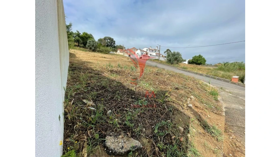 Terreno para Venda em Chamusca e Pinheiro Grande Foto 3