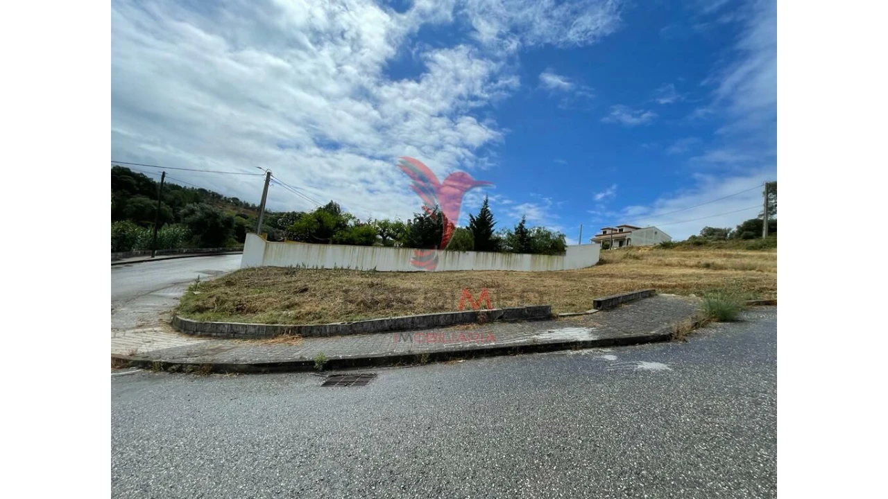 Terreno para Venda em Chamusca e Pinheiro Grande Foto 6