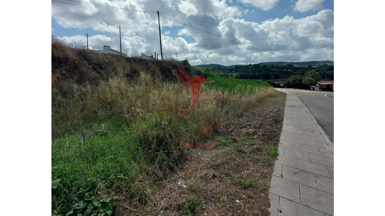 Terreno para Venda em Vale de Cavalos Foto 3