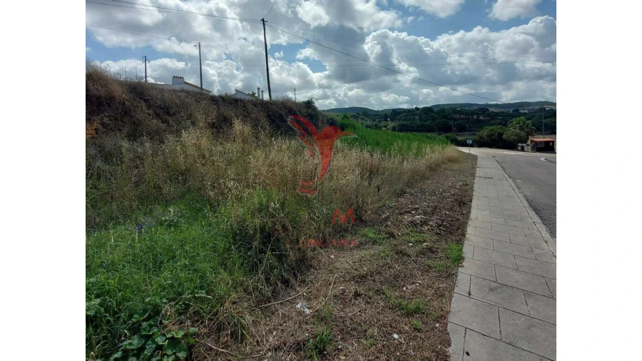 Terreno para Venda em Vale de Cavalos Foto 3
