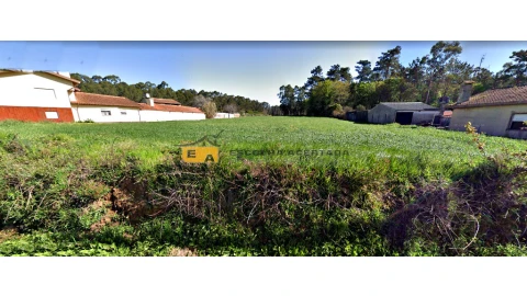 Terreno para Venda em Valega