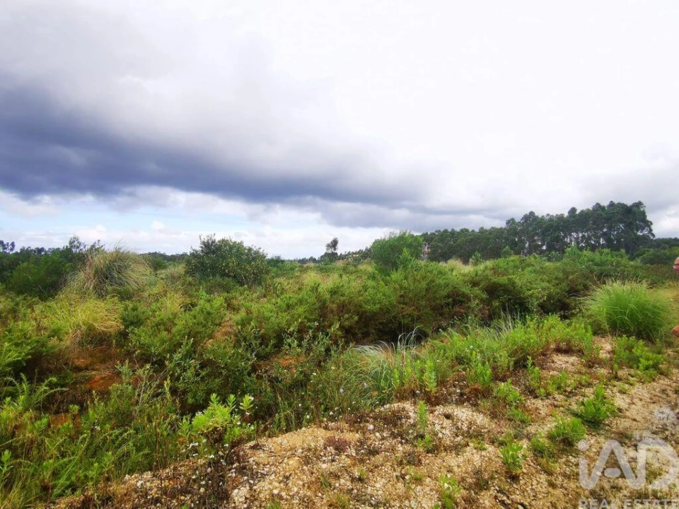 Terreno para Venda em Marrazes e Barosa Foto 23
