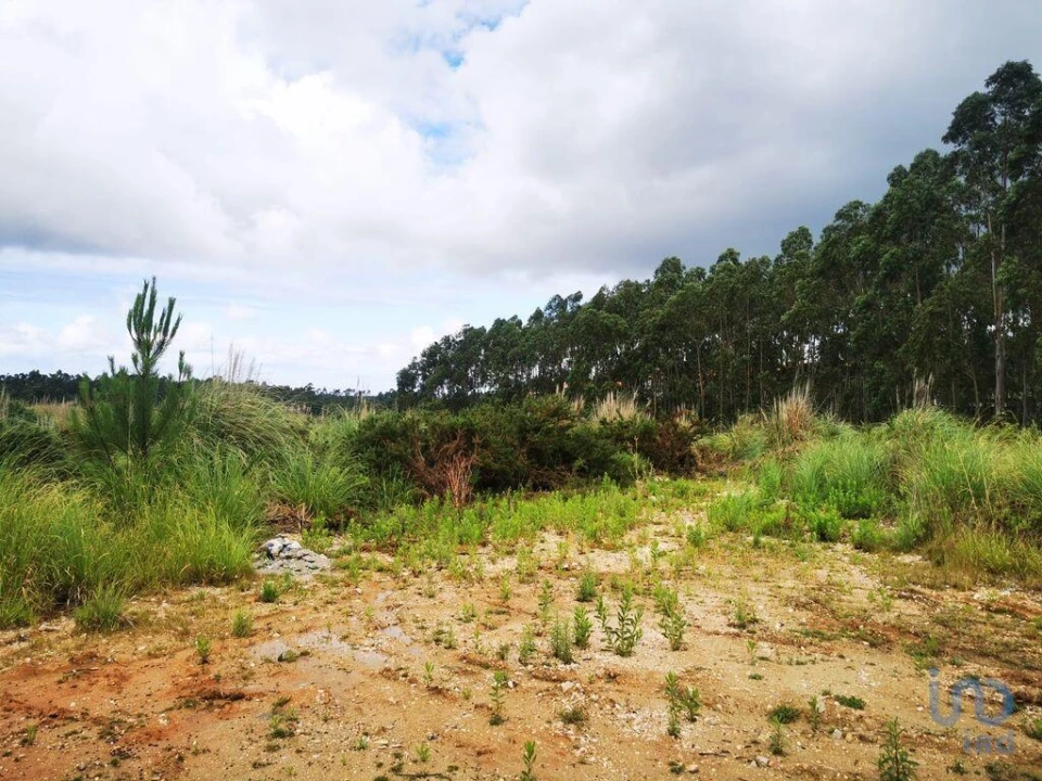 Terreno para Venda em Marrazes e Barosa Foto 14