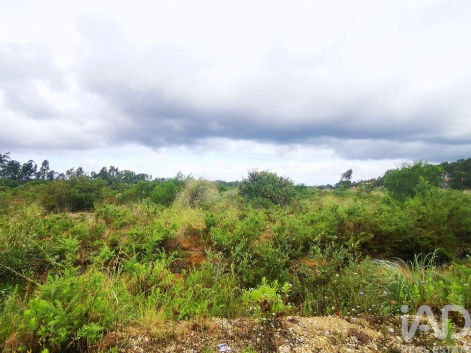 Terreno para Venda em Marrazes e Barosa Foto 24