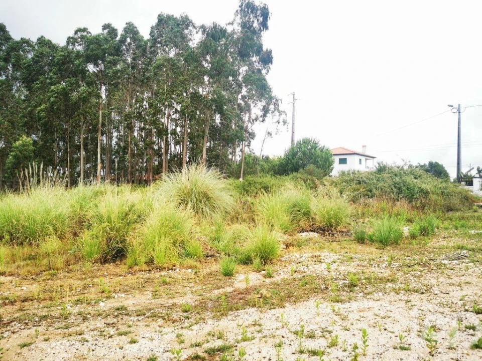 Terreno para Venda em Marrazes e Barosa Foto 17