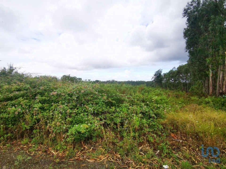 Terreno para Venda em Marrazes e Barosa Foto 12