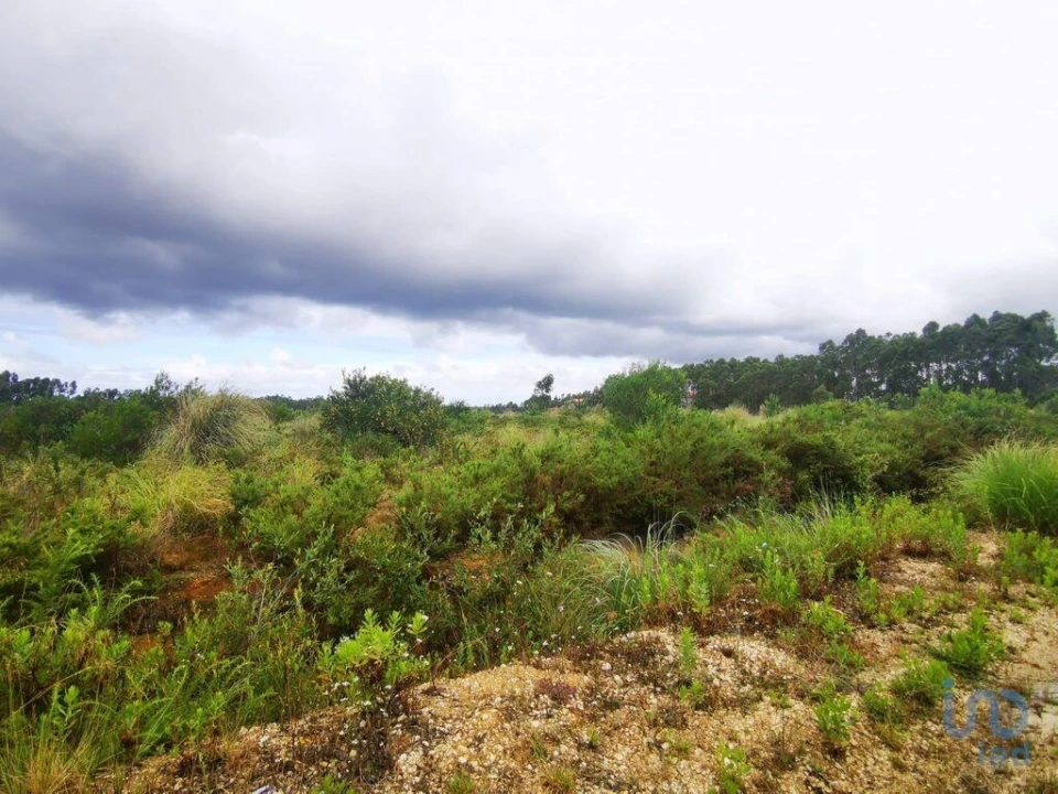 Terreno para Venda em Marrazes e Barosa Foto 6