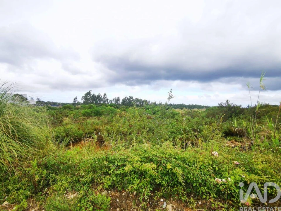 Terreno para Venda em Marrazes e Barosa Foto 22