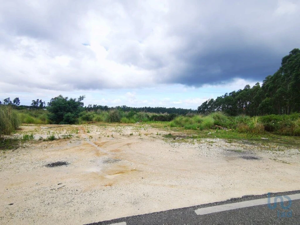 Terreno para Venda em Marrazes e Barosa Foto 11