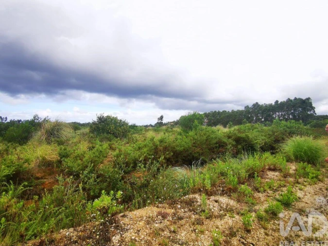 Terreno para Venda em Marrazes e Barosa Foto 23