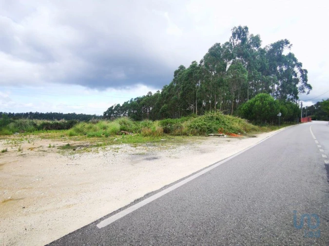 Terreno para Venda em Marrazes e Barosa Foto 7