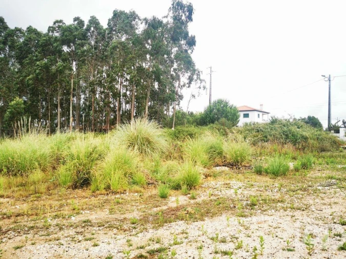 Terreno para Venda em Marrazes e Barosa Foto 17