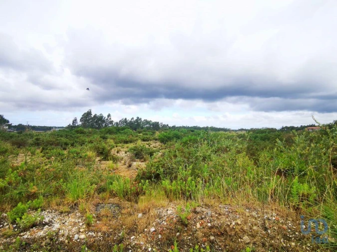 Terreno para Venda em Marrazes e Barosa Foto 4