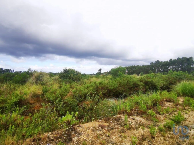 Terreno para Venda em Marrazes e Barosa Foto 6