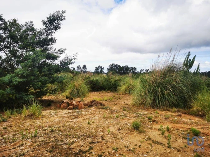 Terreno para Venda em Marrazes e Barosa Foto 13
