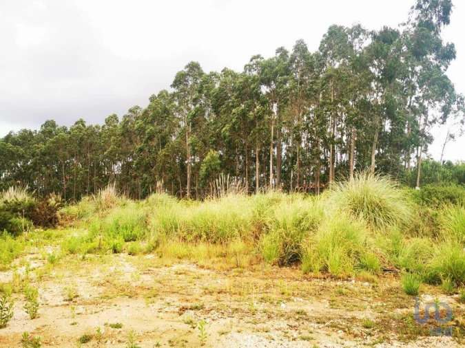 Terreno para Venda em Marrazes e Barosa Foto 15