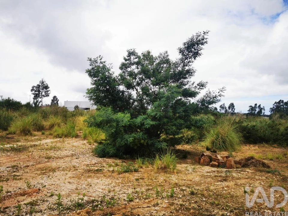 Terreno para Venda em Marrazes e Barosa Foto 16