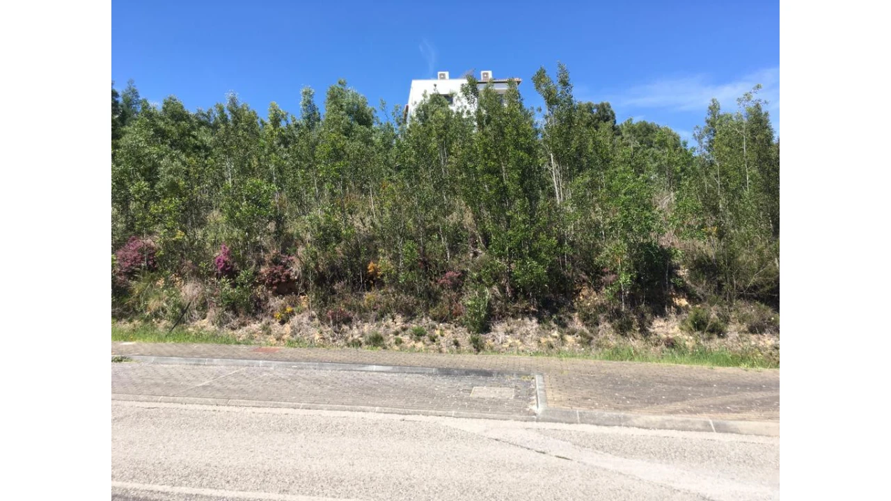 Terreno para Venda em São Martinho de Árvore e Lamarosa Foto 2