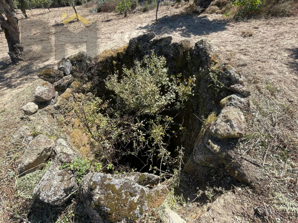 Quinta T0 para Venda em Freixial e Juncal do Campo Foto 4