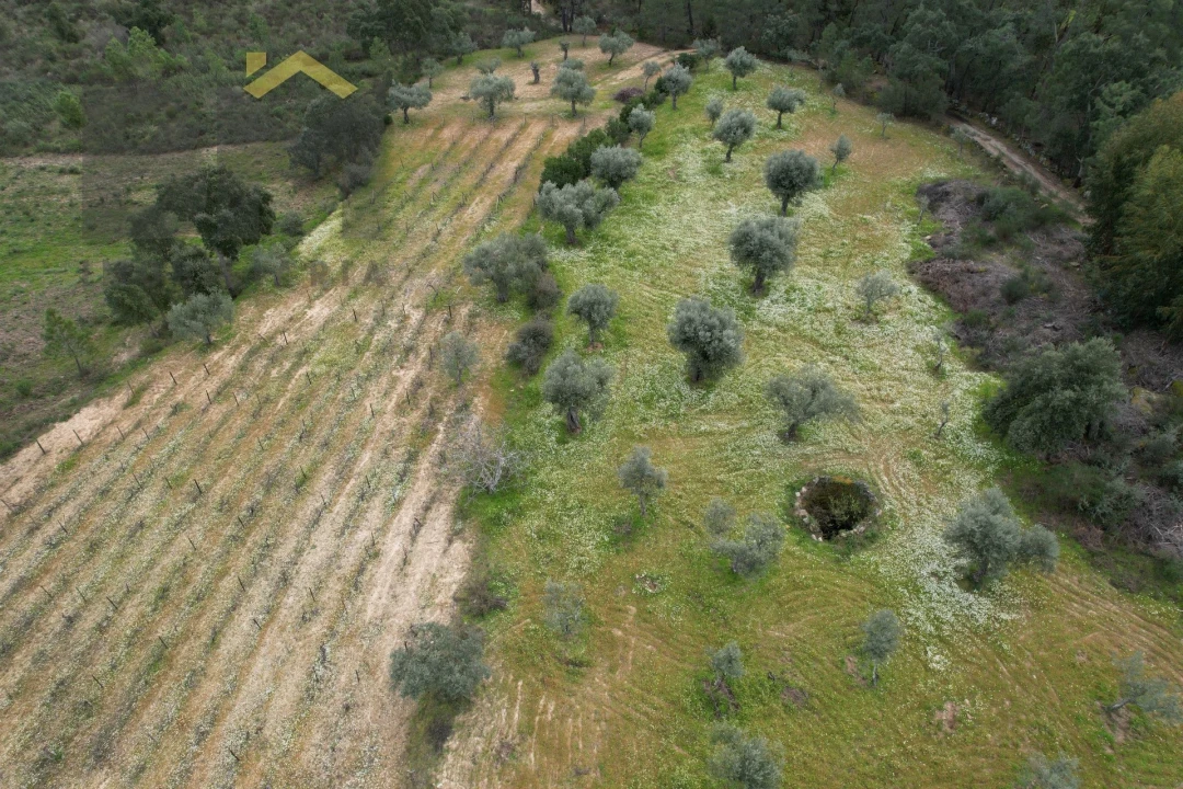 Quinta T0 para Venda em Freixial e Juncal do Campo Foto 16