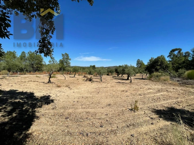 Quinta T0 para Venda em Freixial e Juncal do Campo Foto 15