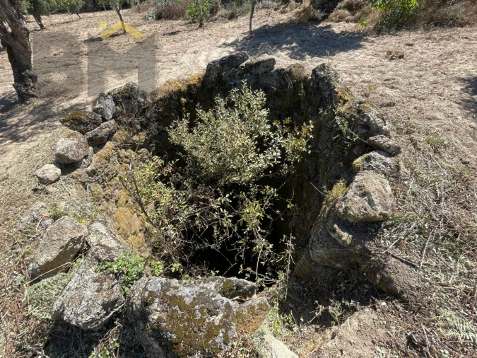 Quinta T0 para Venda em Freixial e Juncal do Campo Foto 4