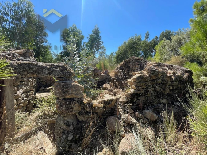 Quinta T0 para Venda em Freixial e Juncal do Campo Foto 3