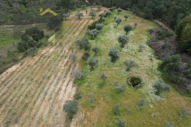 Quinta T0 para Venda em Freixial e Juncal do Campo Foto 16
