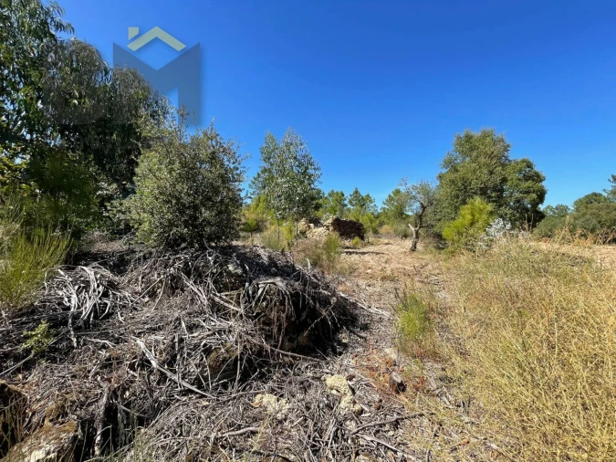 Quinta T0 para Venda em Freixial e Juncal do Campo Foto 10