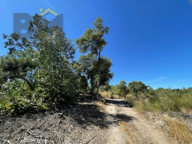 Quinta T0 para Venda em Freixial e Juncal do Campo Foto 12