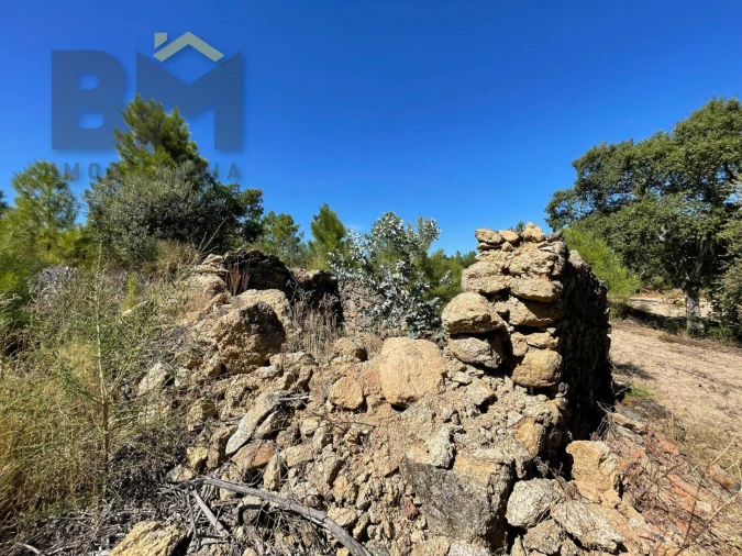 Quinta T0 para Venda em Freixial e Juncal do Campo Foto 2