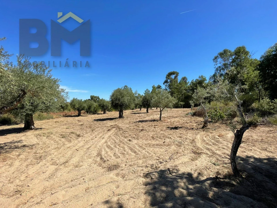 Quinta T0 para Venda em Freixial e Juncal do Campo Foto 9