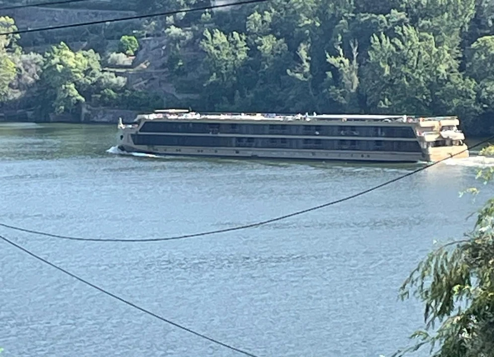 Terreno para Venda em Anreade e São Romão de Aregos Foto 11