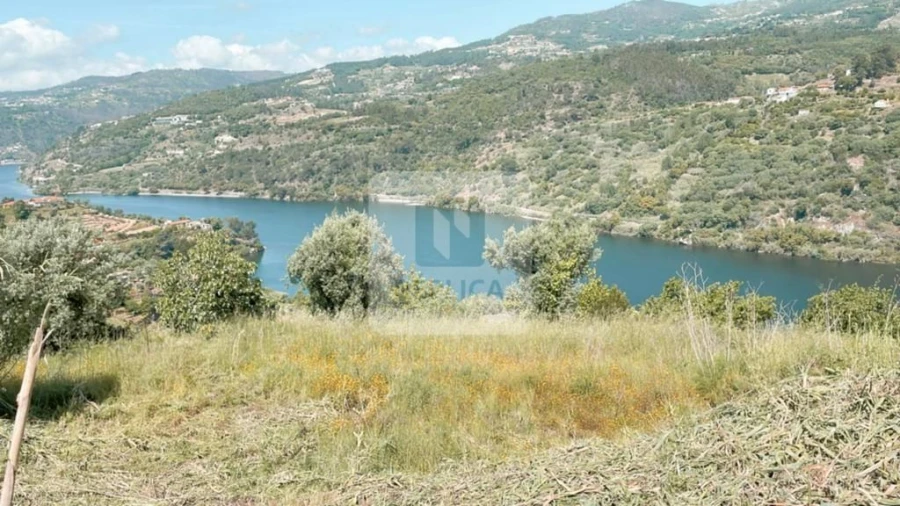 Terreno para Venda em Anreade e São Romão de Aregos Foto 2