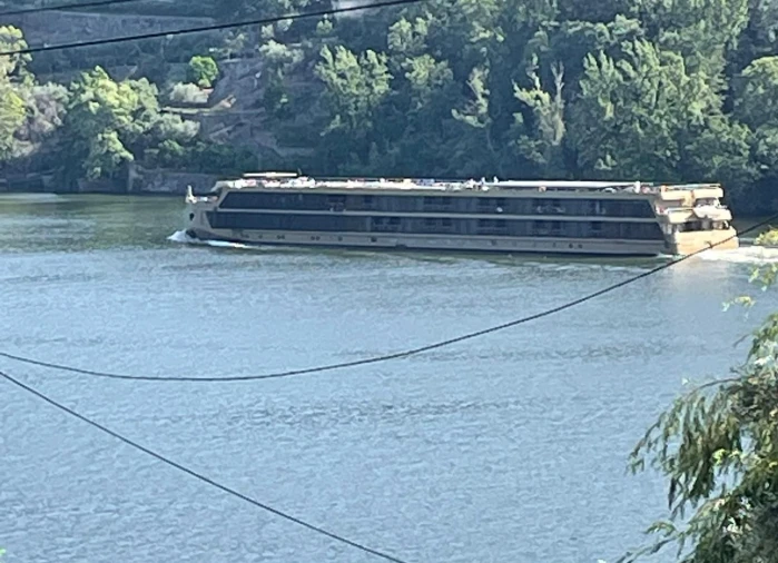Terreno para Venda em Anreade e São Romão de Aregos Foto 11