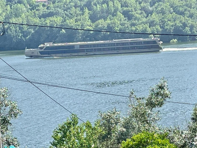 Terreno para Venda em Anreade e São Romão de Aregos Foto 10