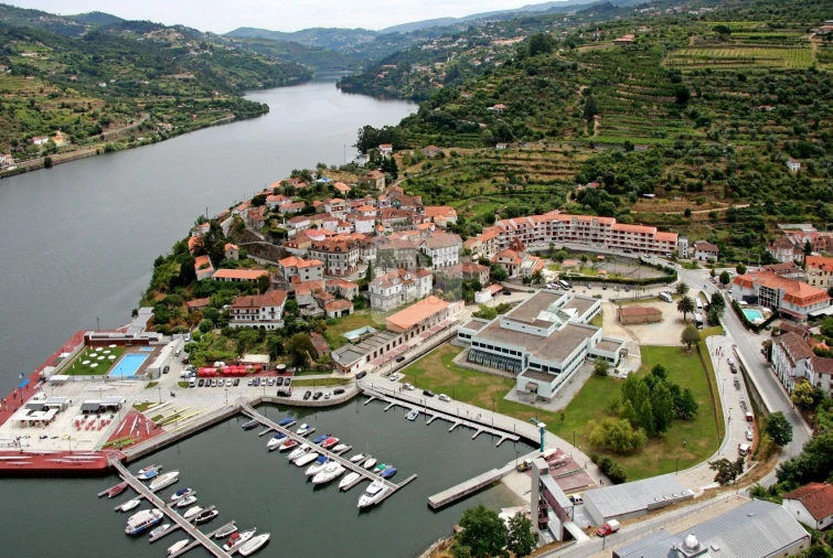 Terreno para Venda em Anreade e São Romão de Aregos Foto 6