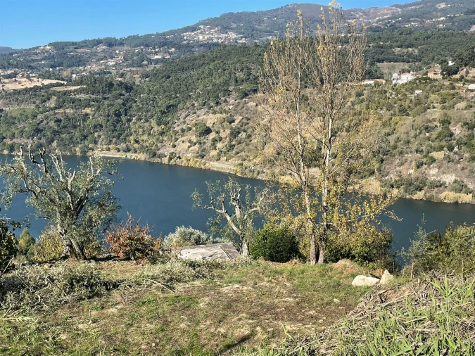 Terreno para Venda em Anreade e São Romão de Aregos Foto 9