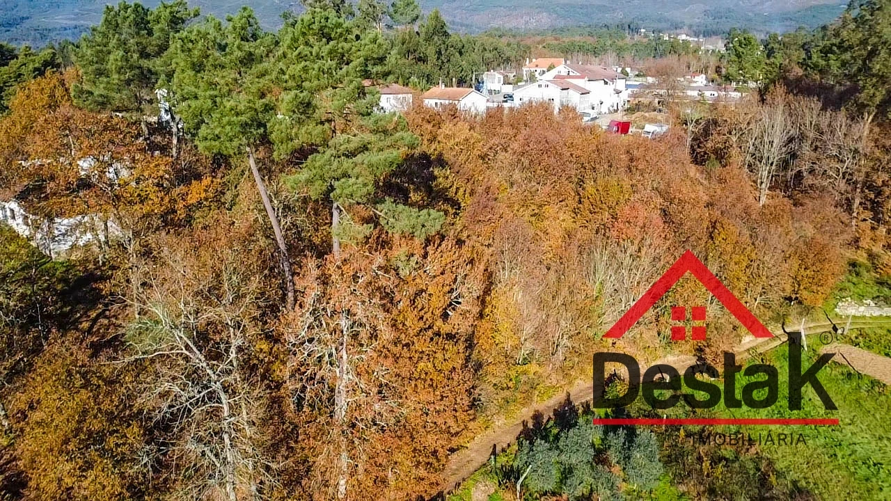 Terreno Agricola ou Rústico para Venda em Carvalhais e Candal Foto 12