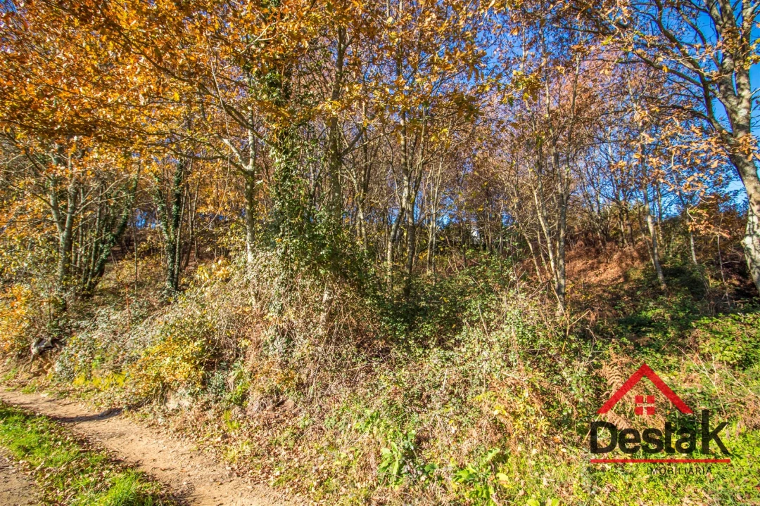 Terreno Agricola ou Rústico para Venda em Carvalhais e Candal Foto 3