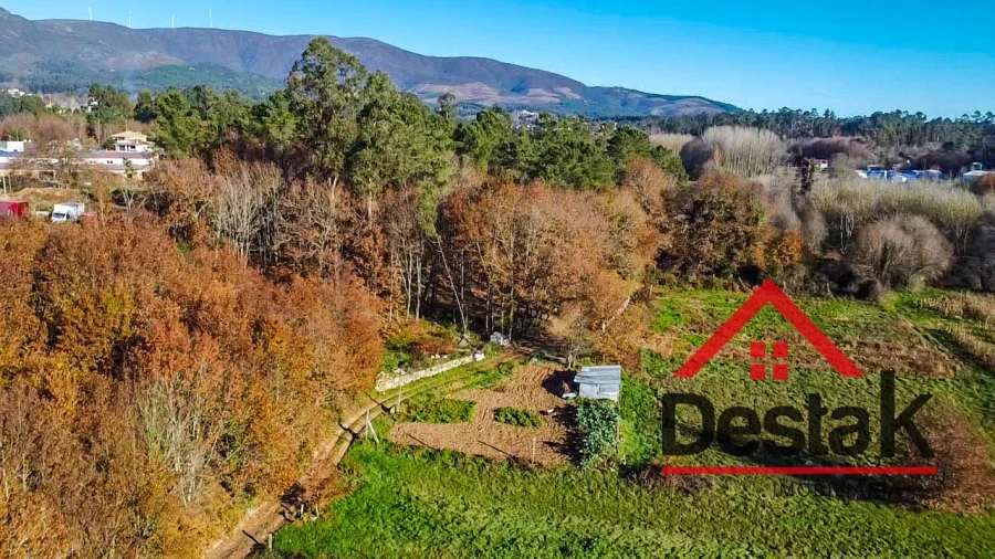 Terreno Agricola ou Rústico para Venda em Carvalhais e Candal Foto 9