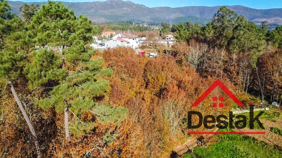 Terreno Agricola ou Rústico para Venda em Carvalhais e Candal Foto 6