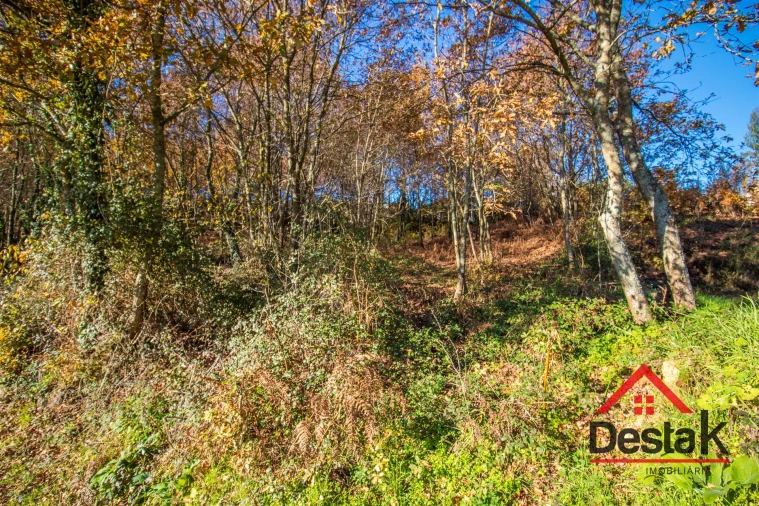 Terreno Agricola ou Rústico para Venda em Carvalhais e Candal Foto 13
