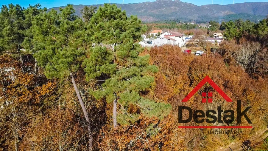 Terreno Agricola ou Rústico para Venda em Carvalhais e Candal Foto 5