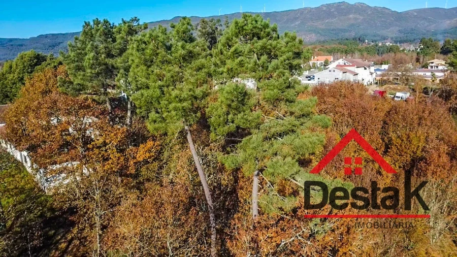 Terreno Agricola ou Rústico para Venda em Carvalhais e Candal Foto 10