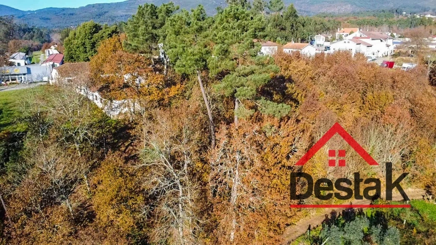 Terreno Agricola ou Rústico para Venda em Carvalhais e Candal Foto 11