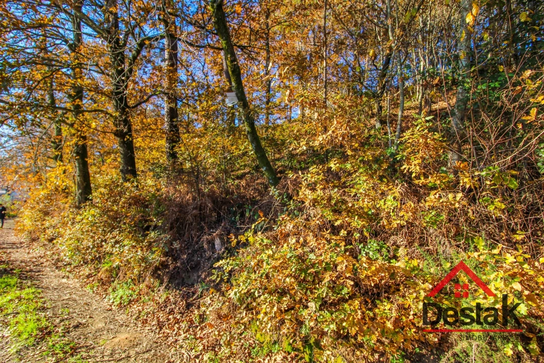 Terreno Agricola ou Rústico para Venda em Carvalhais e Candal Foto 4