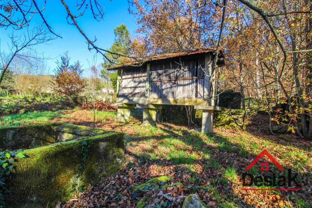 Terreno Agricola ou Rústico para Venda em Carvalhais e Candal Foto 3