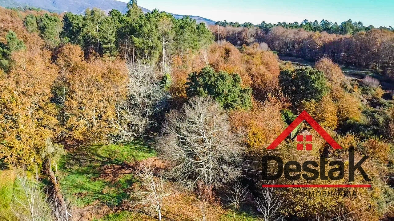 Terreno Agricola ou Rústico para Venda em Carvalhais e Candal Foto 8